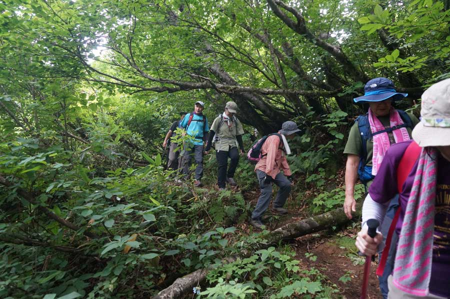 hoken_1 初めての山歩き講座