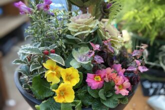 正月飾り　寄せ植え教室